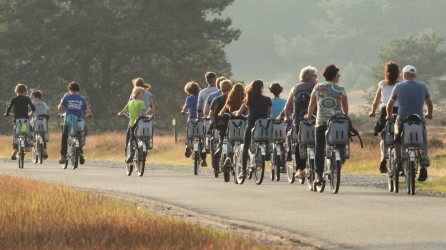 Hoge Veluwe header fietsen