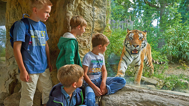 ZOOM Erlebniswelt tijger