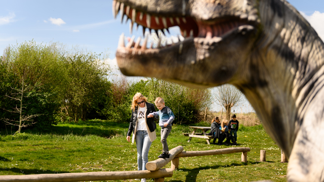 Dino Experience Park balk lopen