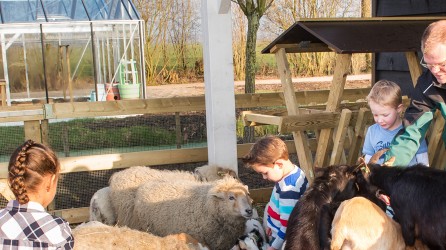 Nieuw in Zuid-Hollandse polder: Avonturenboerderij Molenwaard